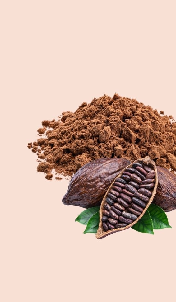 home-cocoa-banner