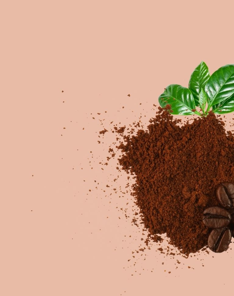 home-coffee-powder-banner